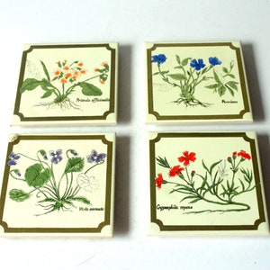 Könnte beinhalten: Set aus vier quadratischen Untersetzern aus Keramik mit goldener Umrandung. Jeder Untersetzer zeigt eine andere Blumenillustration mit seinem lateinischen Namen: Primula officinalis, Immergrün, Viola cornuta und Gypsophila repens.