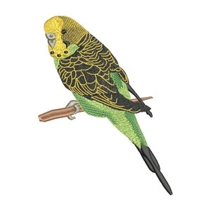 Embroidery file budgie green 3 sizes 10x10,13x18 and 18x13 frame machine embroidery parakeet parrot bird birds budgerigar,
