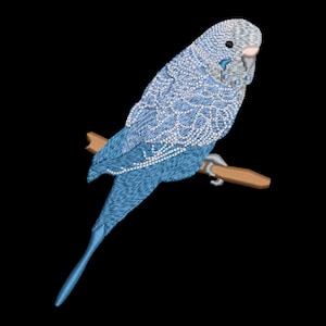 Embroidery file budgie 3 sizes 10x10,13x18 and 18x13 frame machine embroidery parakeet parrot bird birds budgerigar,