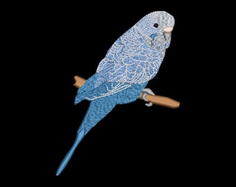 Embroidery file budgie 3 sizes 10x10,13x18 and 18x13 frame machine embroidery parakeet parrot bird birds budgerigar,