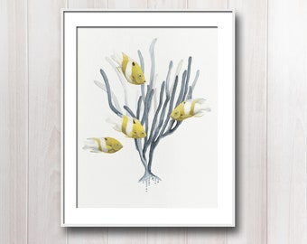 8 x 10" Honeyhead Damsel Fish Illustration Print - Fine Art Reproduction (Ocean Print - Coastal Art Print - Beach House Decor)