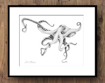 8 x 10" Octopus Print - Fine Art Reproduction (Ocean Print - Coastal Art Print - Beach House Decor)