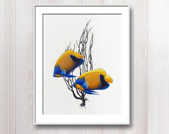 8 x 10" Ocean Art Print - Reproducción de Bellas Artes (Tropical Bluegirdle Angel Fish Illustration)