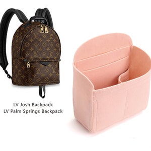 Louis Vuitton Palm Springs Mini Backpack — LSC INC