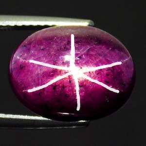 May include: An oval-shaped cabochon star ruby gemstone featuring a deep magenta-purple hue with visible internal inclusions and a distinct, bright white six-rayed star pattern centred on the polished, smooth, and rounded surface of the stone.