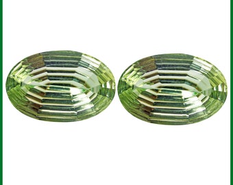 14.74 Ct Extra Ordinary Matching Pair EarRings Green Amethyst (Prasiolite) Gems"Mid Year Mega  Offer""Watch Video link in Description"#38523