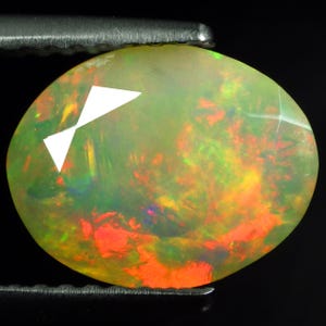 Puede incluir: Gema de ópalo ovalada, sujeta con pinzas metálicas, que muestra un vibrante juego de colores. El ópalo presenta destellos de tonos rojos, naranjas, verdes y amarillos, con una forma geométrica blanca en la superficie. La gema está sobre un fondo negro.