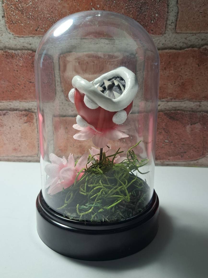Piranha Plant in Terrarium