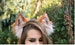 Whimsical fox ears 