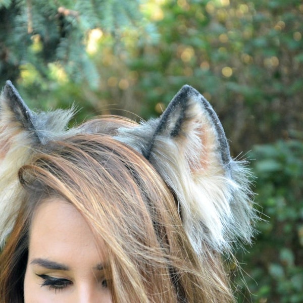 Grey wolf ears