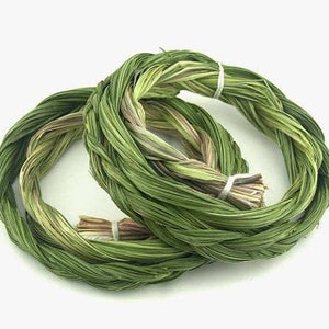 Large Premium Sweetgrass Braid, ONE Hierochloe Orodata, Vanilla Grass, Holy Grass, Sweet Grass