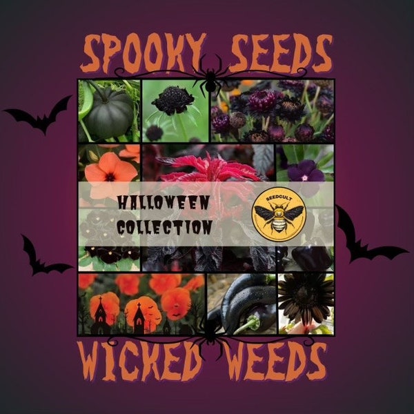 NEW! Halloween Gift Box Special! Autumn, Fall, Gift Collection, 01HG13