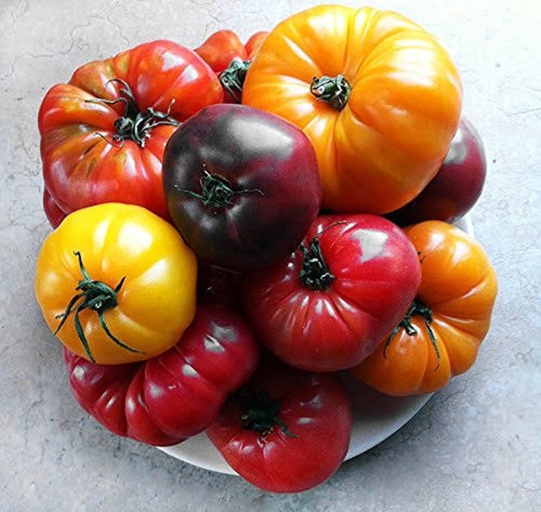 Ugly Rainbow Tomatoes Heirloom Seed Mix of Cherokee Purple, Big Rainbow, Black Pineapple and