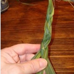 May include: A close-up of a braided green plant stem, held by a hand. The braid is tightly woven, showcasing the texture and pattern of the leaves. The background is a wooden surface.
