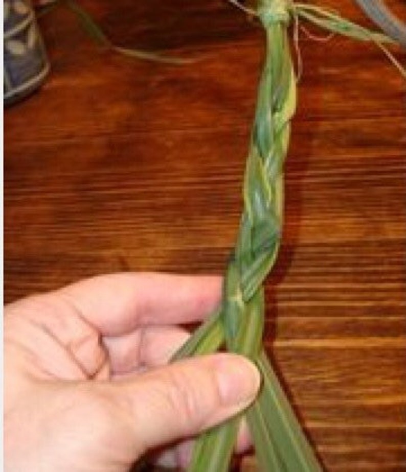 May include: A close-up of a braided green plant stem, held by a hand. The braid is tightly woven, showcasing the texture and pattern of the leaves. The background is a wooden surface.