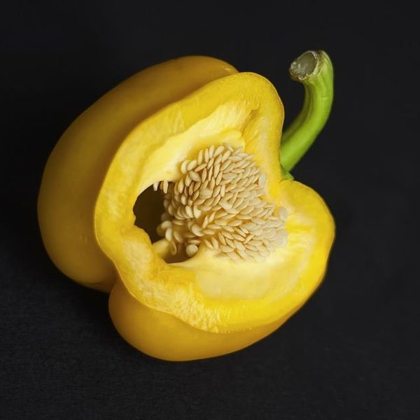 Organic Canary Yellow Bell Pepper Seeds, True Yellow Sweet Peppers, Capsicum Annuum CS0720