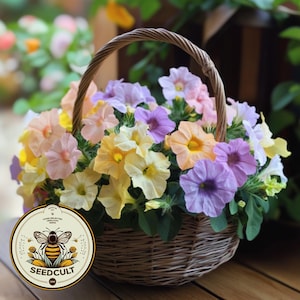 May include: A wicker basket filled with a variety of colorful petunias in shades of pink, yellow, and purple. The basket is sitting on a wooden surface. The image includes a logo for Seedcult.