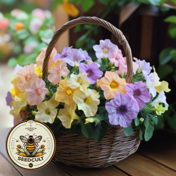 Easter Basket Petunia Seeds, Limbo Series, Pelleted for easier sowing and germination, Petunia Hybrida PE8225P