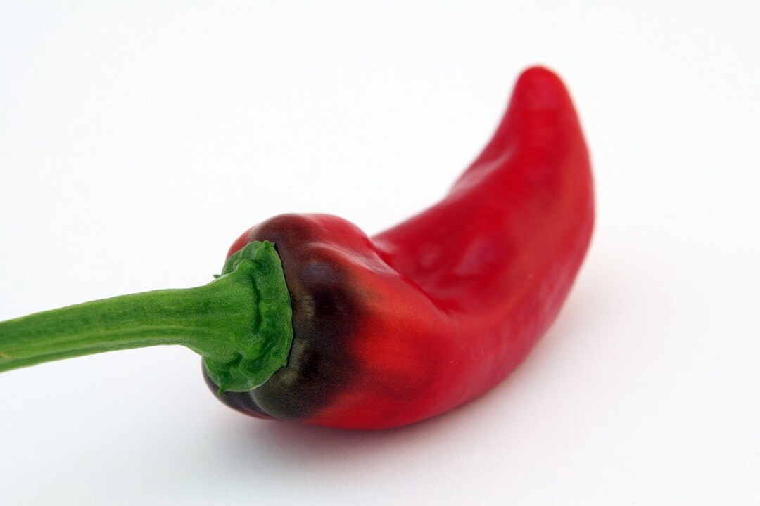 10 Sweet Heat Pepper Seeds Sweet and Mildly Hot Peppers Etsy