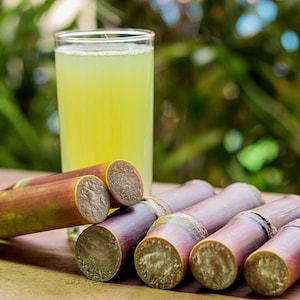 May include: A glass of fresh sugarcane juice with several stalks of sugarcane on a wooden surface.