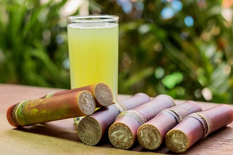 May include: A glass of fresh sugarcane juice with several stalks of sugarcane on a wooden surface.