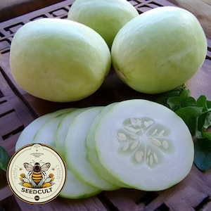 Organic Crystal Apple Cucumber Seeds CU0120