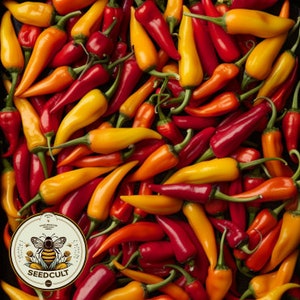 Tabasco Pepper Seeds, Hot Spicy Pepper, Capsicum Annuum, CH2225
