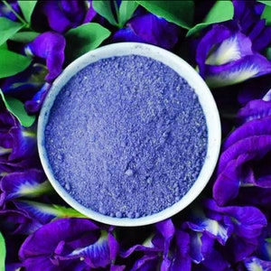 May include: A white bowl filled with finely ground blue powder, surrounded by vibrant purple flowers and green leaves. The powder has a granular texture, contrasting with the smooth petals. The image is a close-up, highlighting the color and texture.