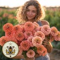 NEW! Benary's Giant Salmon Rose Zinnia Seeds, Largest Giant Zinnias, Zinnia Elegans ZE3725