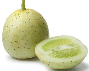 Organic Crystal Apple Cucumber Seeds CU0120