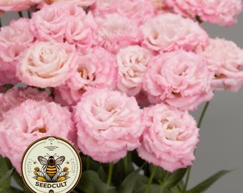 May include: A bouquet of pink flowers with multiple blooms. The flowers have a soft, layered petal structure and a light pink hue. The image includes a circular logo with a bee and the text "SEEDCULT".