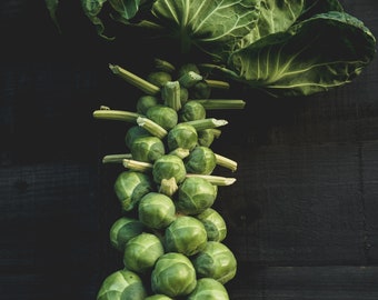 May include: A bunch of fresh green brussels sprouts stacked on top of each other, with large green leaves at the top.