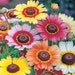 see more listings in the Perennial Seeds section