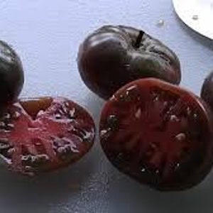 Organic Black Krim Tomato Seeds, Heirloom, Non-GMO, Solanum Lycopersicum LY0120