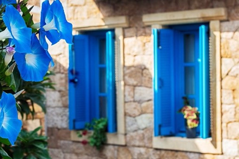 May include: A stone building with two blue windows with shutters. The windows are open and there are flowers in front of them.