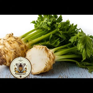 May include: Fresh celery root with vibrant green stalks and leaves, one cut in half to reveal the white interior. A Seedcult logo is visible. The image is set against a light blue and white wooden surface.
