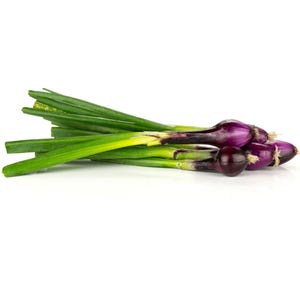 May include: A bunch of fresh red spring onions featuring deep purple, bulbous roots that transition into vibrant green, elongated stalks. The vegetable stems are smooth and firm, with small, light-colored root ends visible at the base of each bulb.