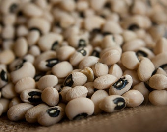 Bulk Organic California Black Eyed Pea Seeds, Vigna unguiculata VI0850