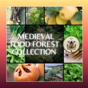 May include: A collage featuring various plants and produce, including pears, green onions, and parsnips. The text "MEDIEVAL FOOD FOREST COLLECTION" is prominently displayed. A "Seedcult" logo with a bee is also visible, suggesting a focus on heritage or organic food.