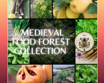 Medieval Food Forest Box, Gift Box, Perennial Ancient Seeds, 12 Individual Packs, 01MC12