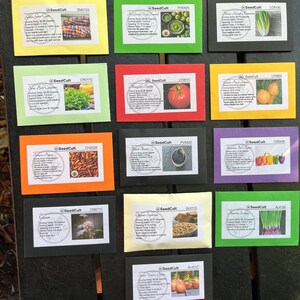 Taco Truck Seed Collection in Gift Box, Taco Toppings, Sampler, 13 ...