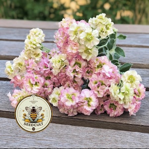 May include: A bouquet of pink and cream-colored flowers with green centers and foliage, arranged on a wooden surface. A circular label with a bee graphic and the text "SEEDCULT" is visible.