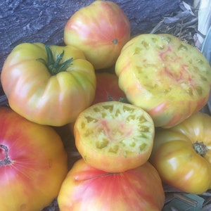 Striped German Tomato Seeds, Heirloom, Non-GMO, Solanum Lycopersicum LY2325