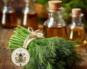 Bulk Organic Dill Seeds, Anethum graveolens, Medicinal Culinary Herb AN201C