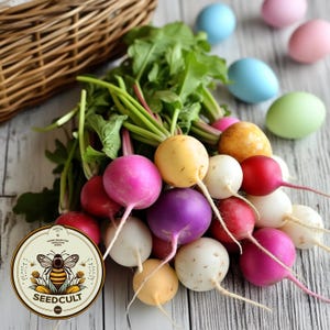 May include: A colorful assortment of radishes, including red, white, purple, and yellow varieties, with green tops. The radishes are arranged on a light wood surface with pastel Easter eggs and a wicker basket in the background. A Seedcult logo is visible.