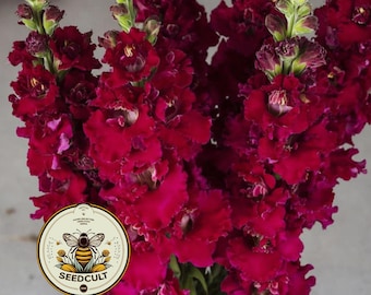 NEW! Madame Butterfly Red Snapdragon Seeds, Double Flowering, Ruffled Antirrhinum Majus AN7125