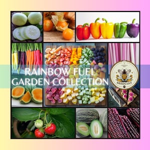 May include: A collage of colorful fruits and vegetables, including red peppers, yellow peppers, green peppers, purple peppers, cantaloupe, watermelon, strawberries, and corn. The text "RAINBOW FUEL GARDEN COLLECTION" and a logo for "SEEDCULT" are also included.