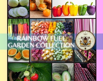 Rainbow Fuel Garden Seed Collection in Gift Box, Rainbow Food, Sampler, 14 Individual Packs, 01RF14