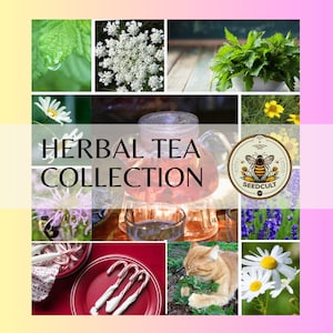 Herbal Tea Seed Collection in Gift Box, Sampler Gift, 10 Individual Packs, 100 Seeds Each, 01HT10