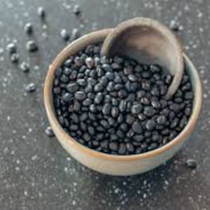 Semillas de frijoles negros, Phaseolus vulgaris PV0420